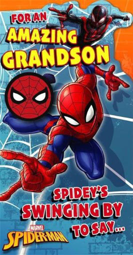 Picture of FOR AN AMAZING GRANDSON SPIDERMAN CARD